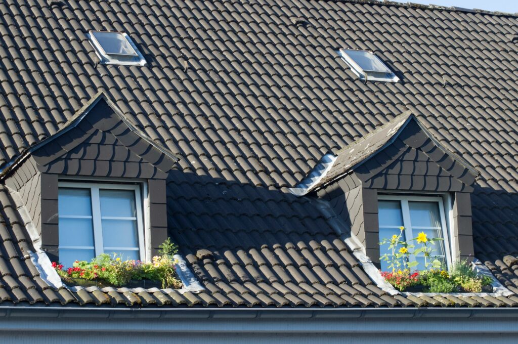 brown roof tiles near green plant during daytime